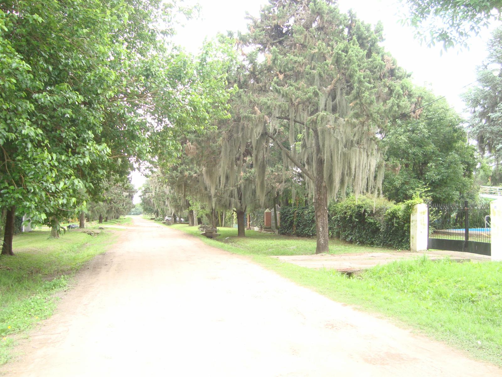 IMPORTANTE TERRENO EN LA MEJOR ZONA DE PUEBLO ESTHER — foto 5