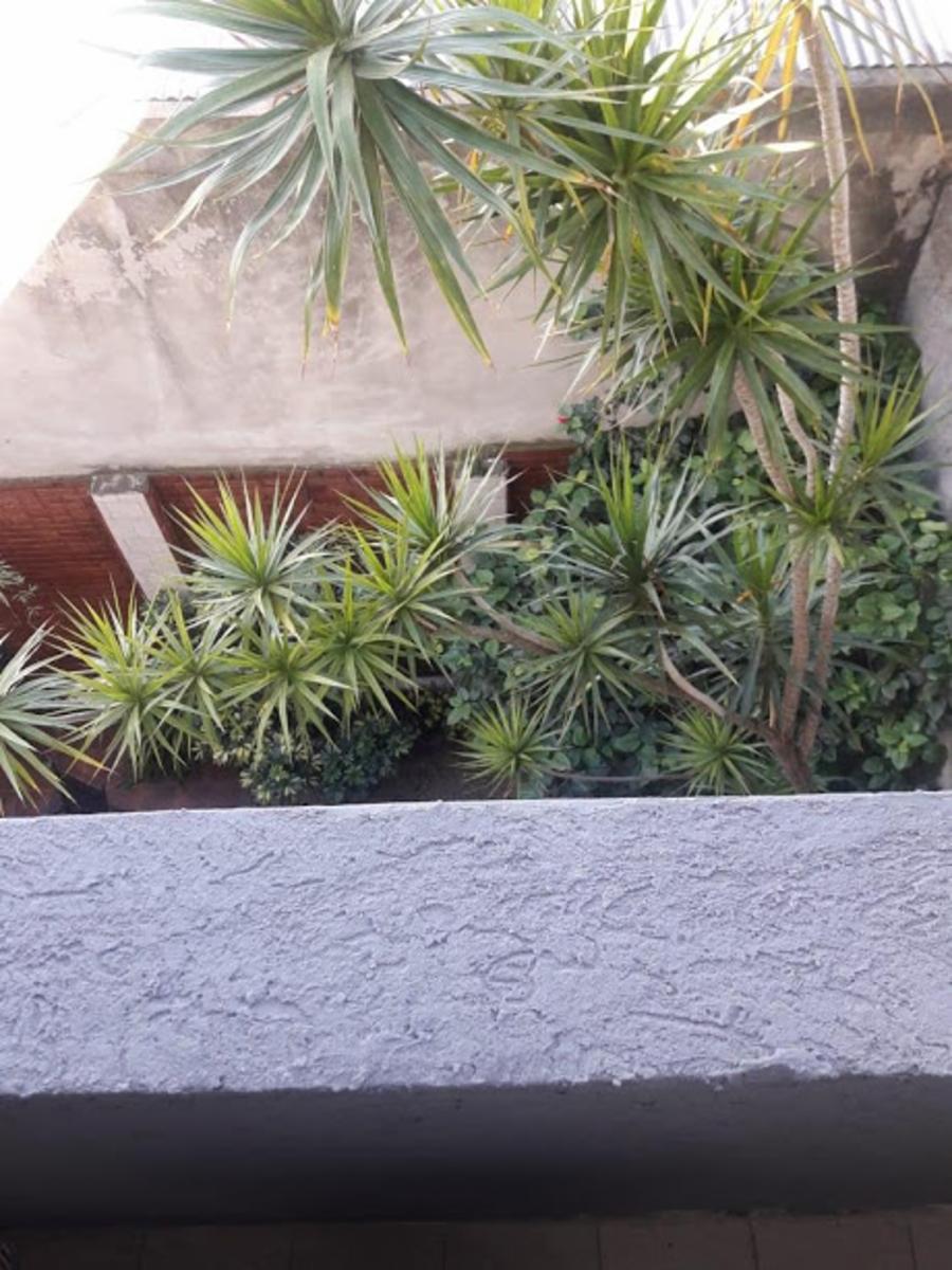 HERMOSO DEPTO DE 2 AMB AMPLIOS Y LUMINOSOS EXCELENTE UBICACION. — foto 5