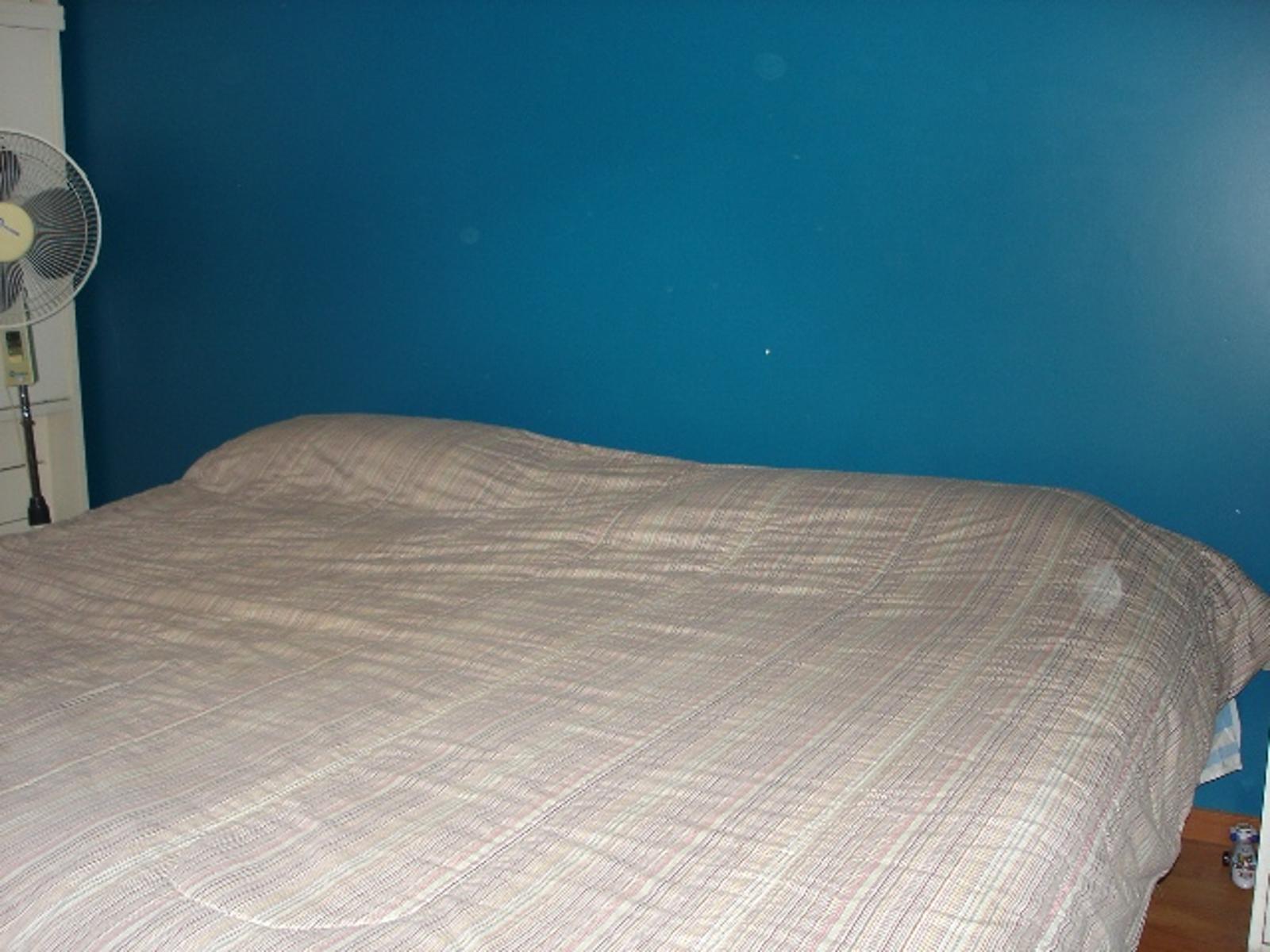 CASA DESARROLLADA SOBRE AMPLIO LOTE DE 8,66 X 43,30. — foto 10