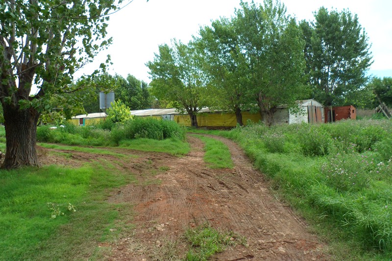 GRANJA AVÍCOLA 2 HAS. 25 AS. IMPORTANTES MEJORAS Sobre Ruta Provincial Nº41 KM. 267 - 7