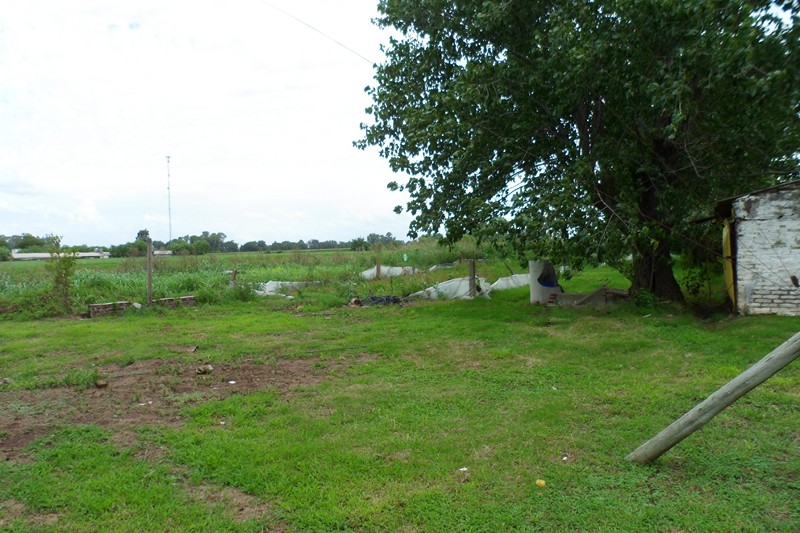 GRANJA AVÍCOLA 2 HAS. 25 AS. IMPORTANTES MEJORAS Sobre Ruta Provincial Nº41 KM. 267 - 8