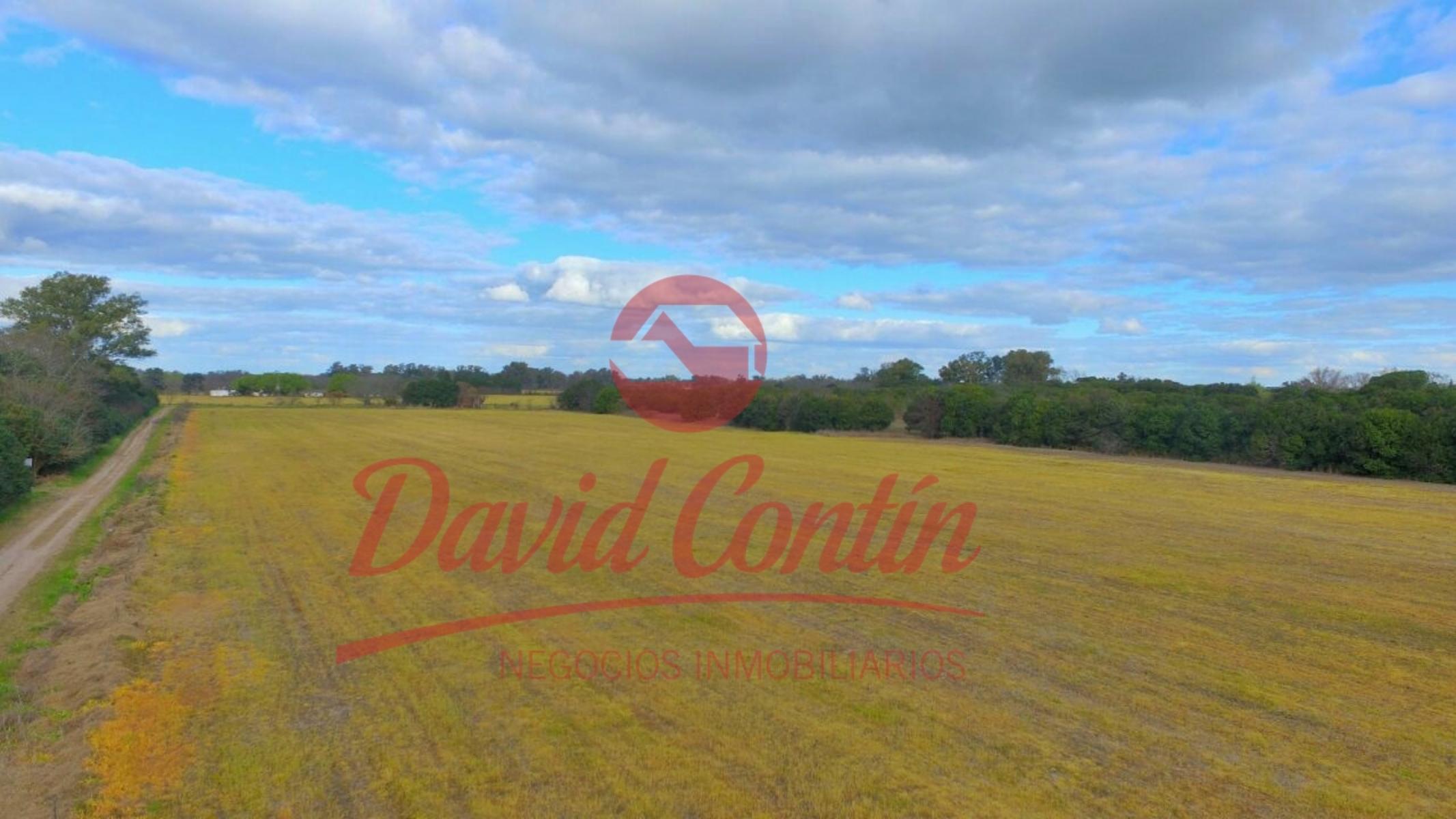 VENTA/ OPORTUNIDAD DE EXCELENTE CAMPO — foto 3