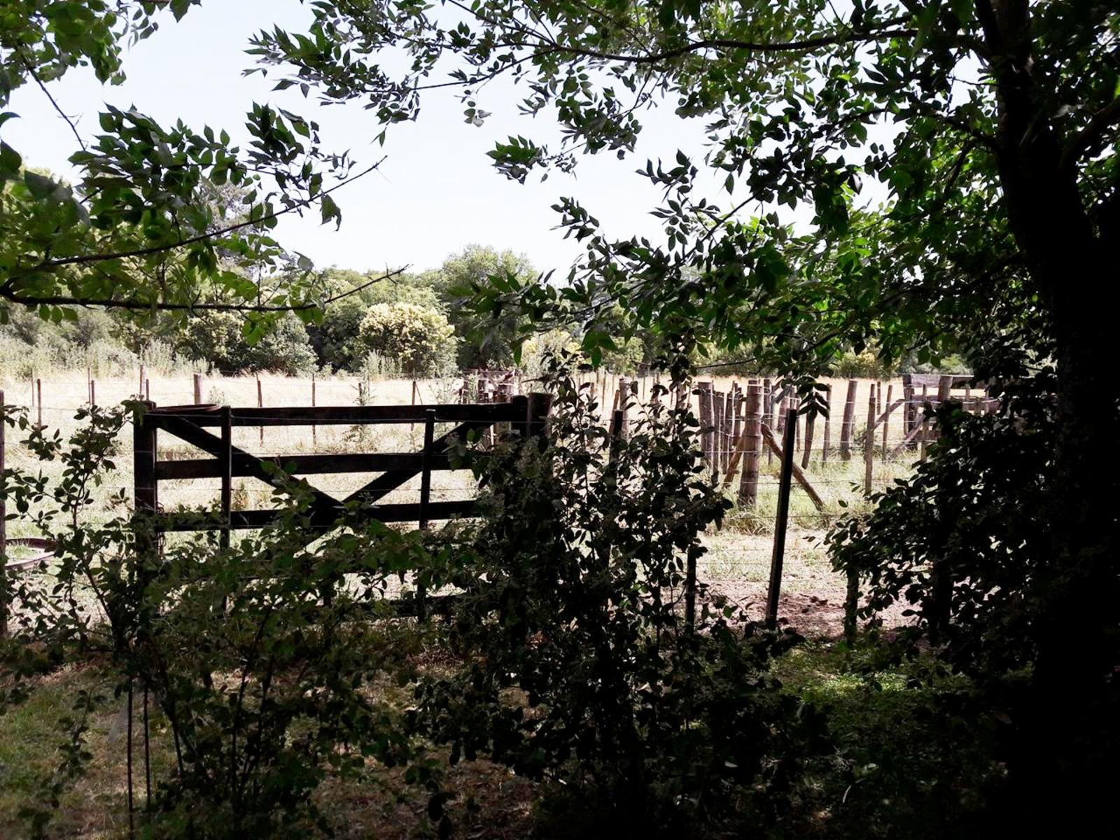 OPORTUNIDAD/VENTA DE CAMPO