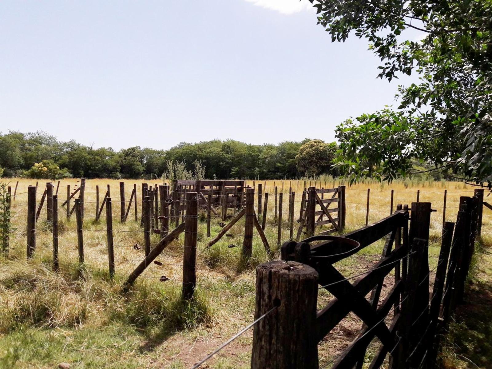 OPORTUNIDAD/VENTA DE CAMPO — foto 4