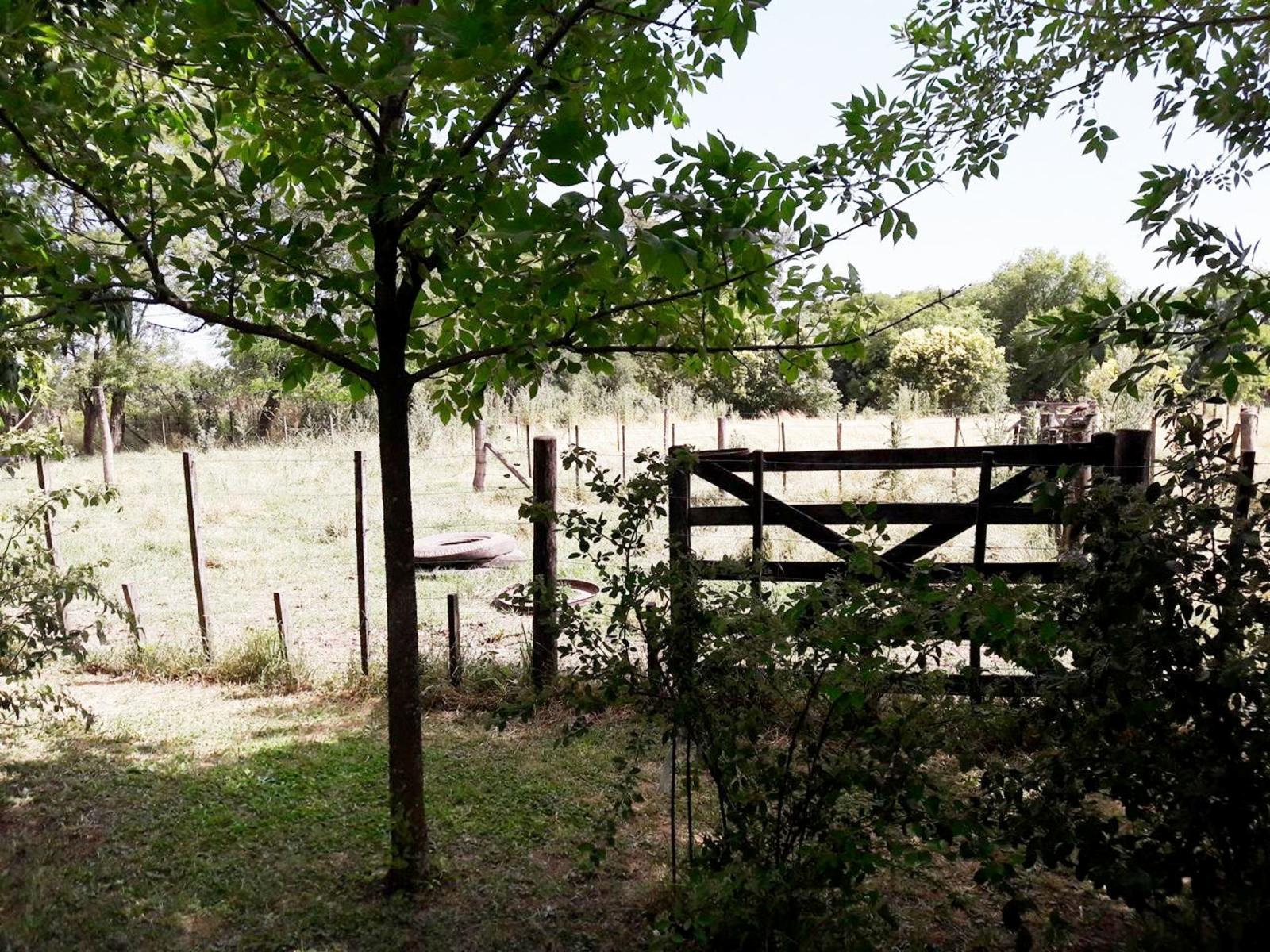 OPORTUNIDAD/VENTA DE CAMPO — foto 5