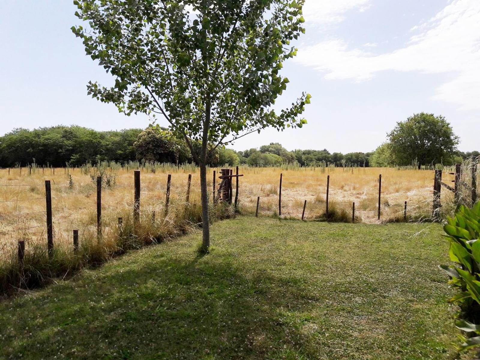 OPORTUNIDAD/VENTA DE CAMPO — foto 7