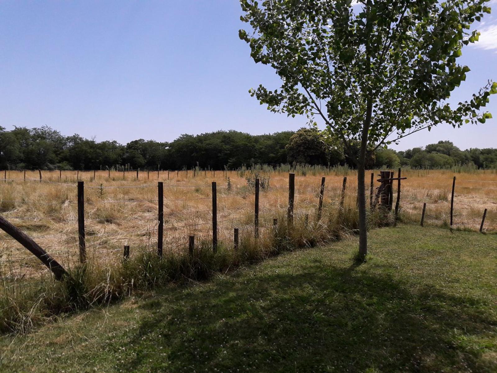 OPORTUNIDAD/VENTA DE CAMPO — foto 9