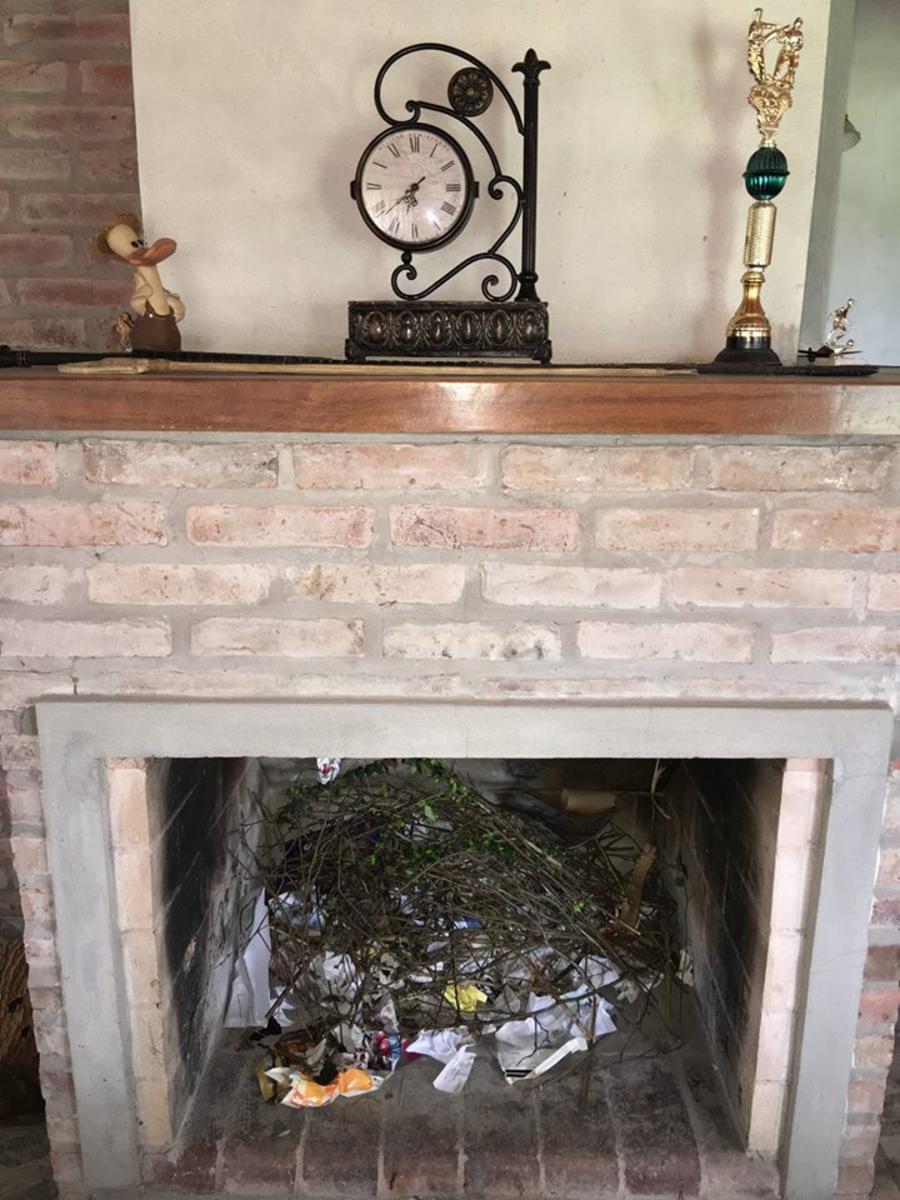 OPORTUNIDAD/VENTA DE CAMPO — foto 13