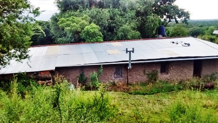 Venta Campo 47 hectáreas - Ruta 2 - San Martín - San Luis - 8