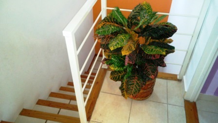Venta 2 Casas - Pancha Hernadez - Juana Koslay - San Luis - 44
