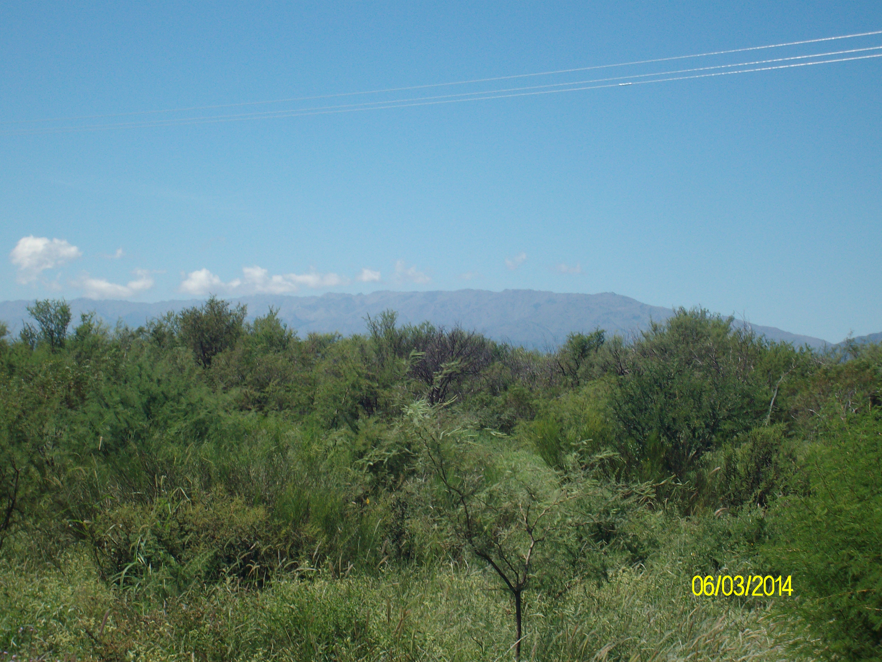 Venta Campo 5 hectareas – Ruta 16 6600 – San Luis - 2