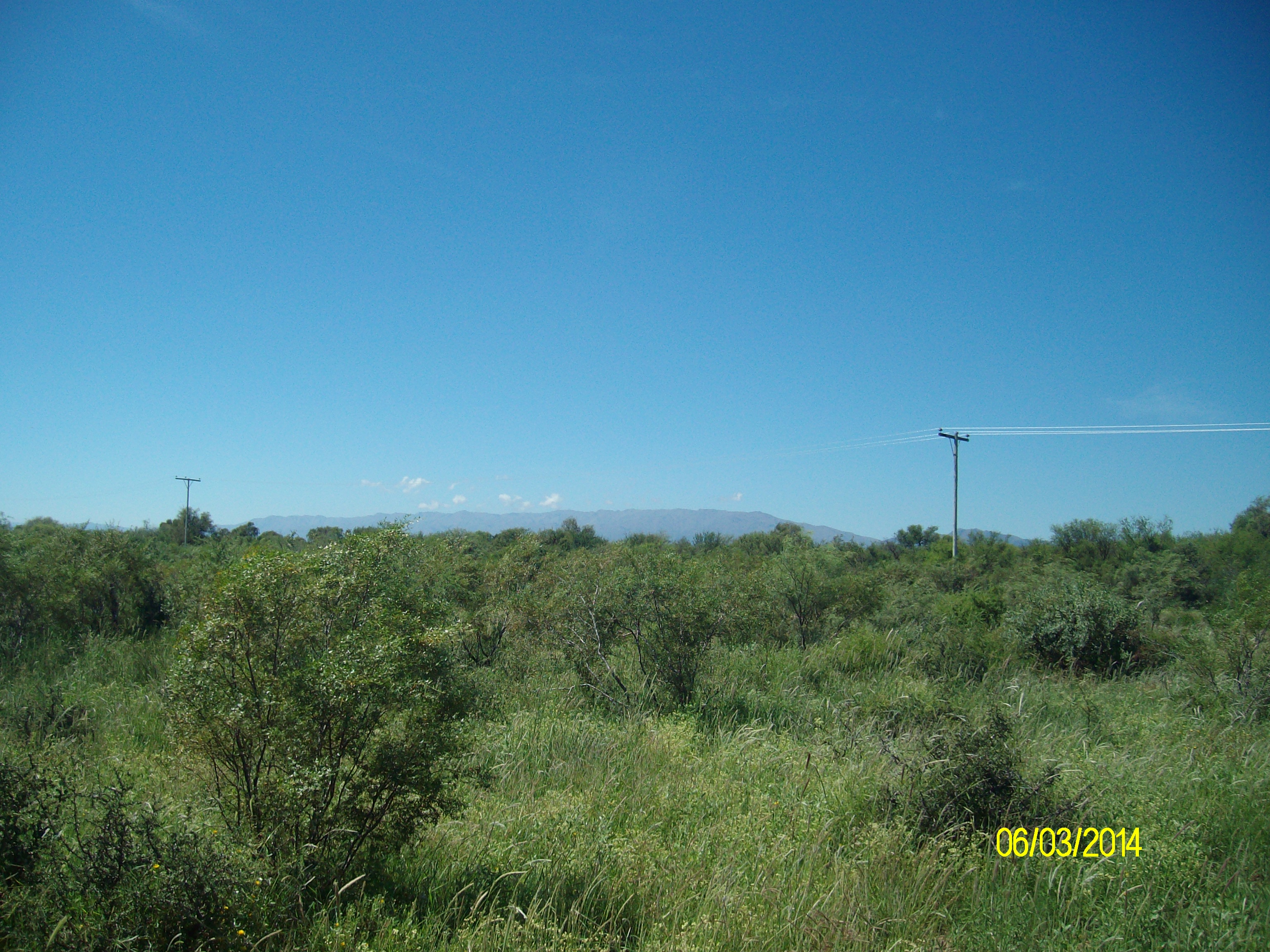 Venta Campo 5 hectareas – Ruta 16 6600 – San Luis - 3