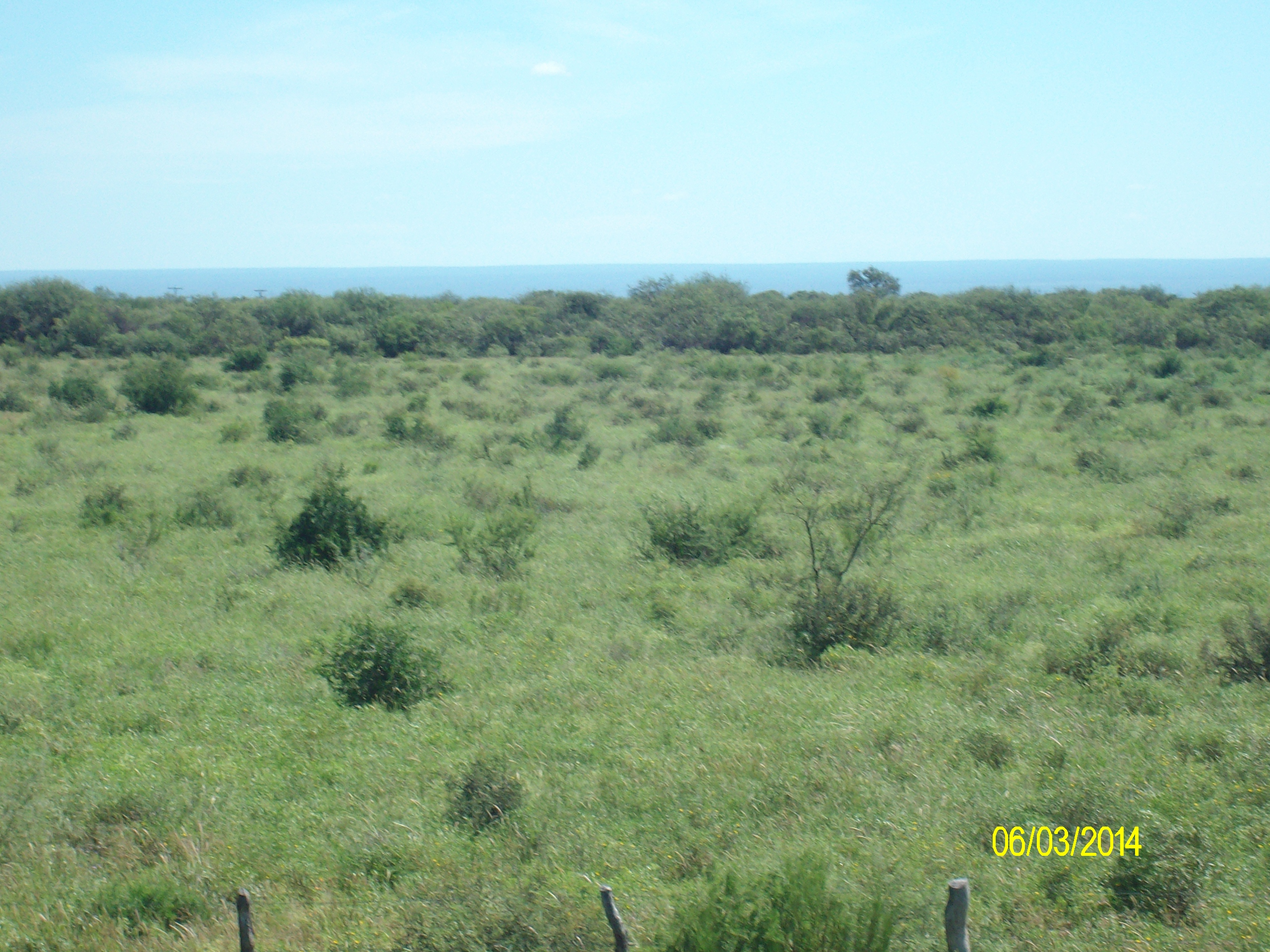 Venta Campo 5 hectareas – Ruta 16 6600 – San Luis - 4