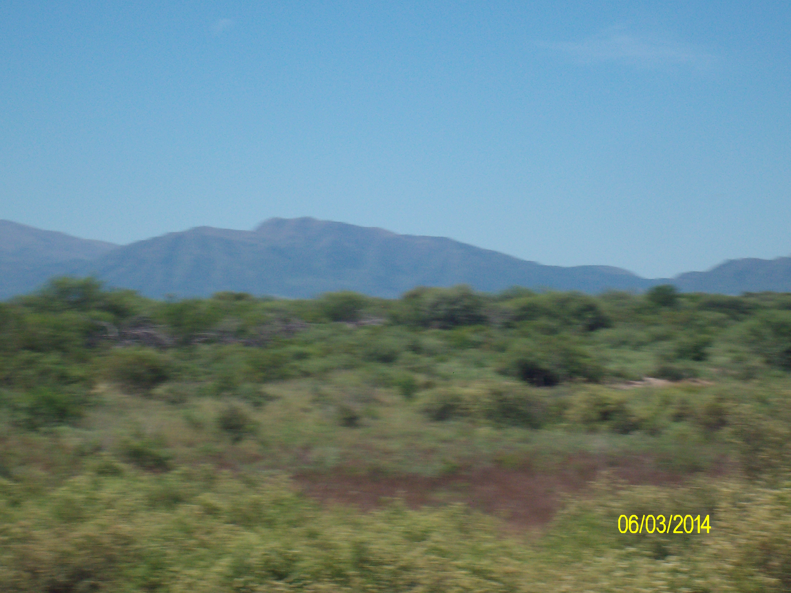 Venta Campo 5 hectareas – Ruta 16 6600 – San Luis - 5