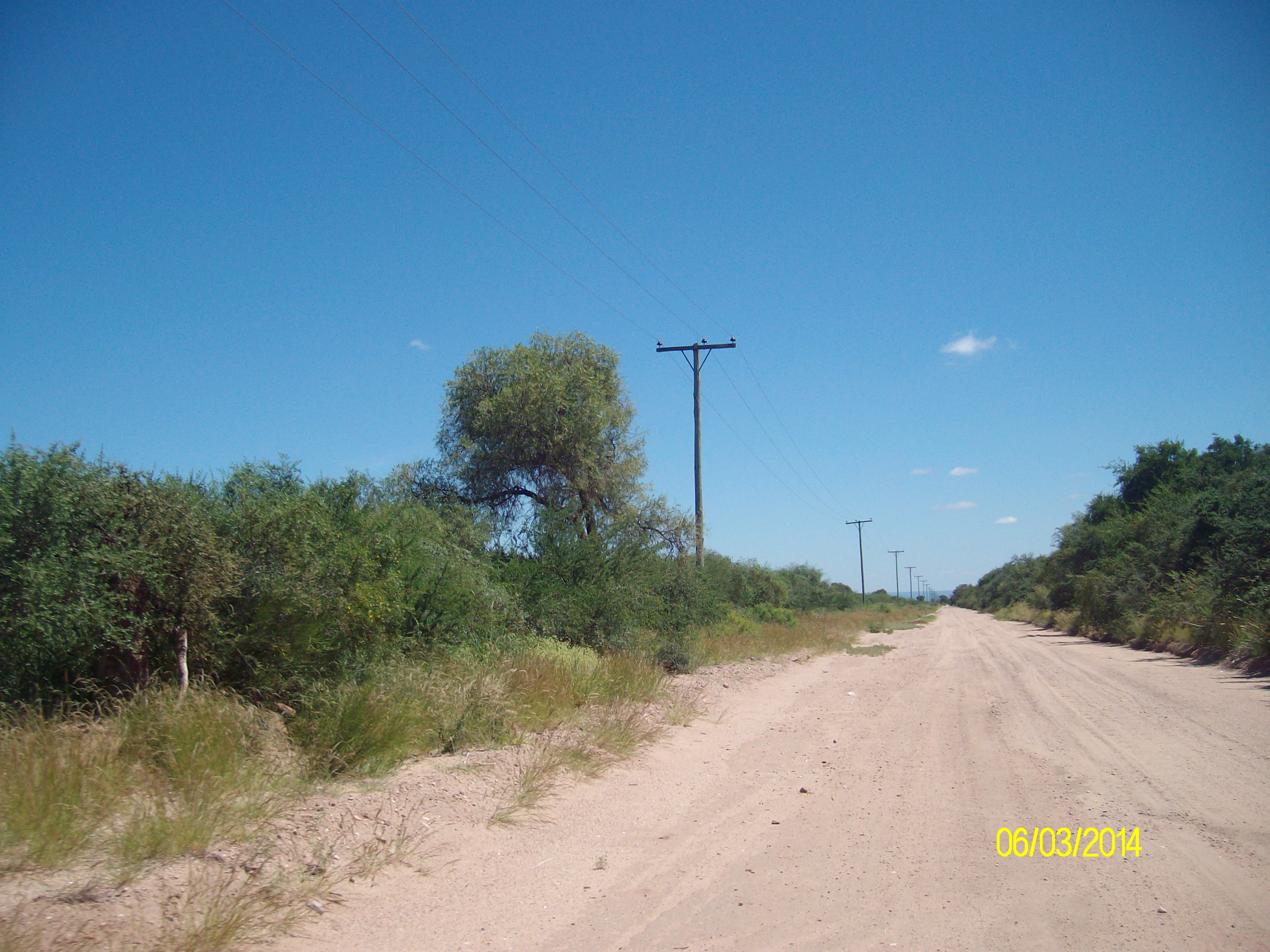 Venta Campo 5 hectareas – Ruta 16 6600 – San Luis - 6