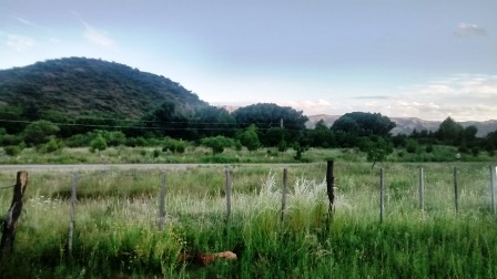 Venta Campo – Ruta Ingreso – San Francisco del Monte de Oro – San Luis - 2