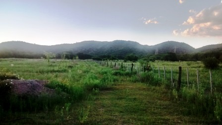 Venta Campo – Ruta Ingreso – San Francisco del Monte de Oro – San Luis - 3