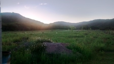 Venta Campo – Ruta Ingreso – San Francisco del Monte de Oro – San Luis - 4