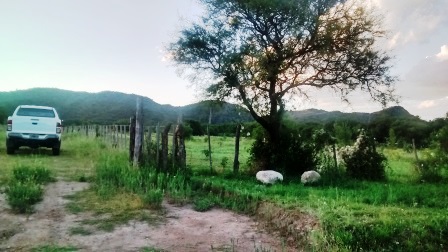 Venta Campo – Ruta Ingreso – San Francisco del Monte de Oro – San Luis - 11