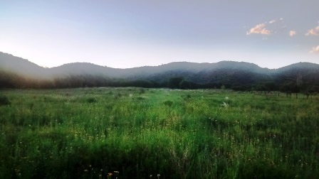 Venta Campo – Ruta Ingreso – San Francisco del Monte de Oro – San Luis - 17