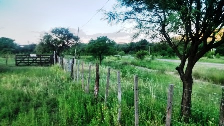 Venta Campo – Ruta Ingreso – San Francisco del Monte de Oro – San Luis - 18
