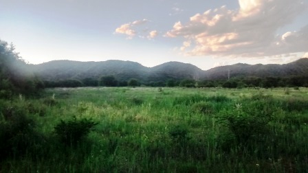 Venta Campo – Ruta Ingreso – San Francisco del Monte de Oro – San Luis - 20