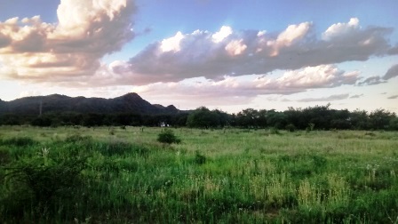 Venta Campo – Ruta Ingreso – San Francisco del Monte de Oro – San Luis - 21
