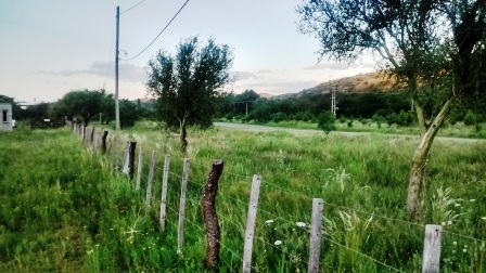 Venta Campo – Ruta Ingreso – San Francisco del Monte de Oro – San Luis - 22