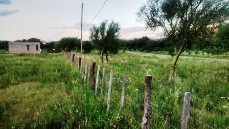 Venta Campo – Ruta Ingreso – San Francisco del Monte de Oro – San Luis - 24