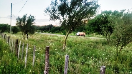 Venta Campo – Ruta Ingreso – San Francisco del Monte de Oro – San Luis - 25