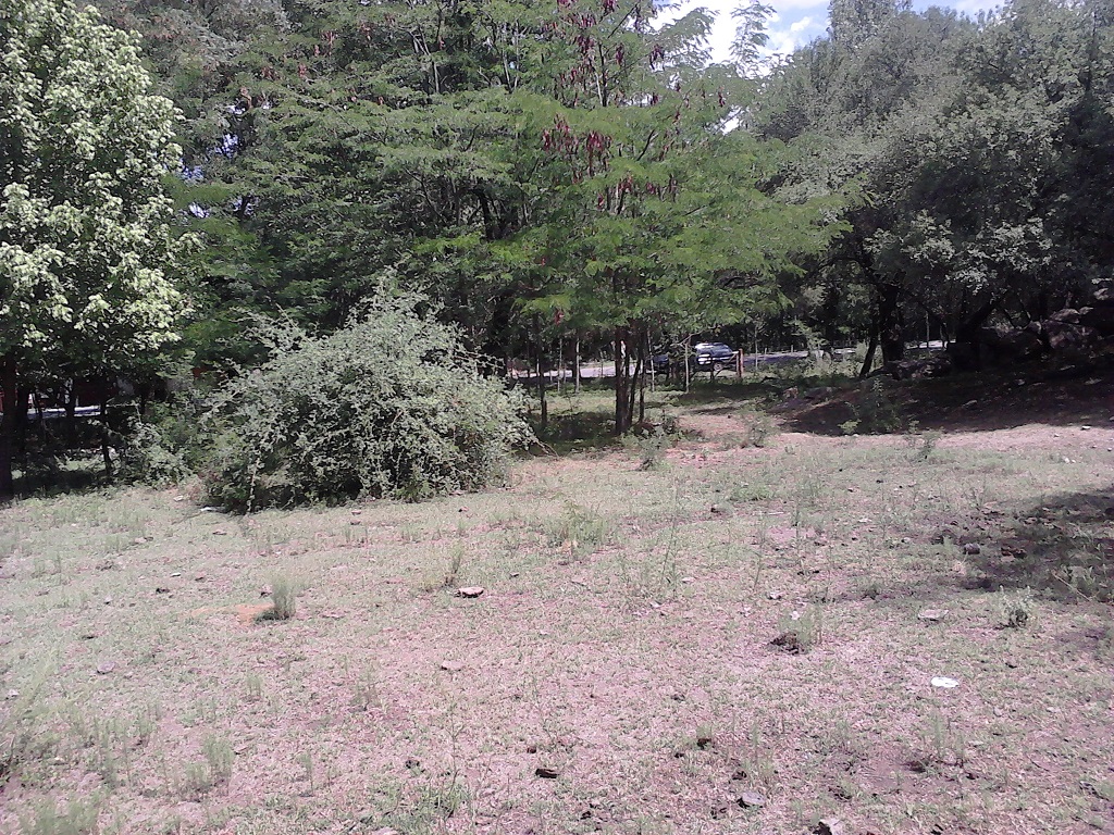 Venta Lote – Ruta 9 30500 – El Trapiche – San Luis - 3