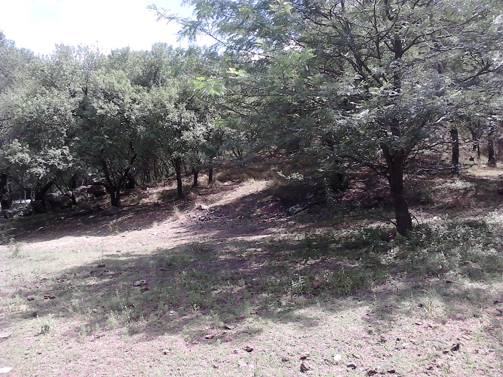 Venta Lote – Ruta 9 30500 – El Trapiche – San Luis - 4