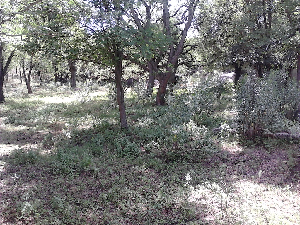 Venta Lote – Ruta 9 30500 – El Trapiche – San Luis - 5