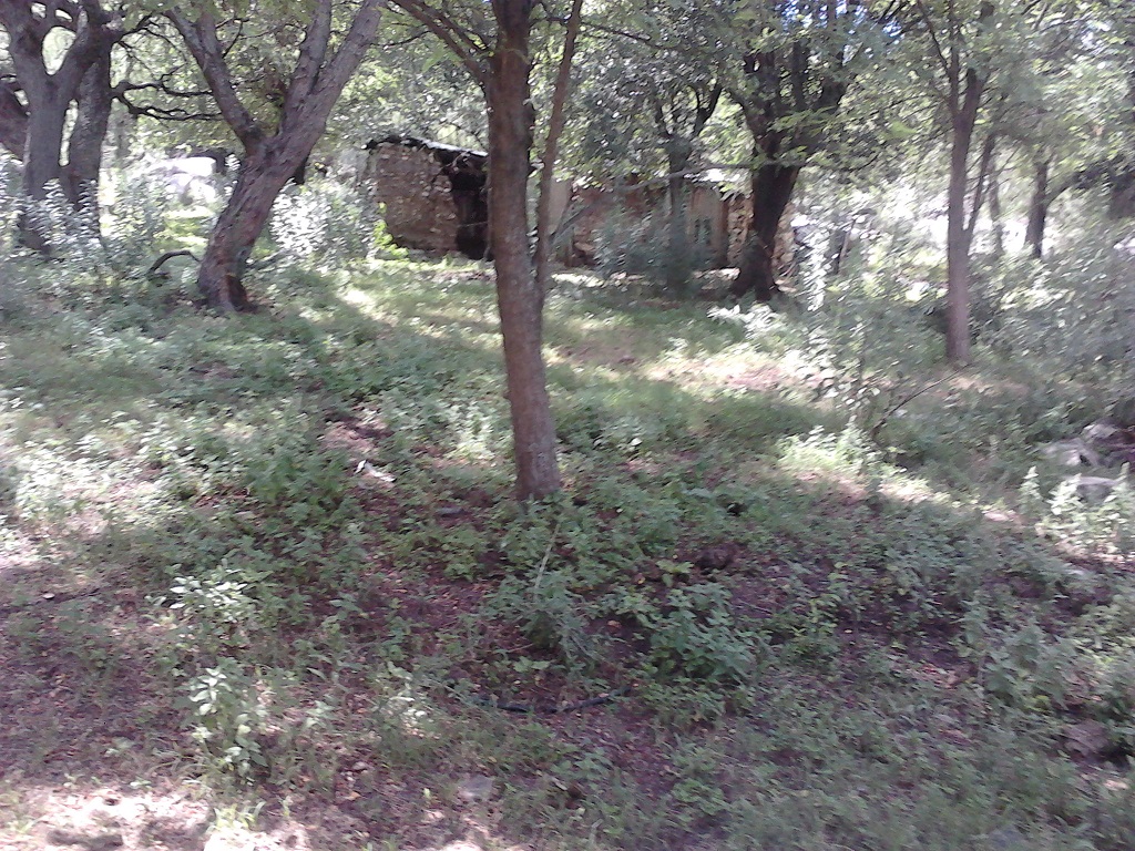 Venta Lote – Ruta 9 30500 – El Trapiche – San Luis - 6