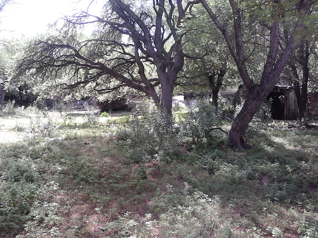Venta Lote – Ruta 9 30500 – El Trapiche – San Luis - 7