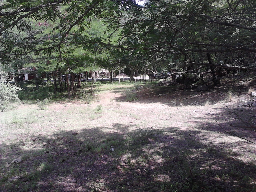 Venta Lote – Ruta 9 30500 – El Trapiche – San Luis - 8