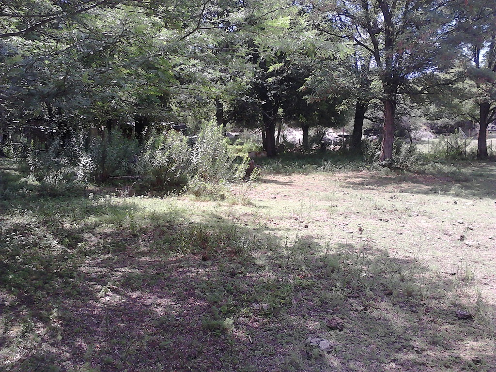 Venta Lote – Ruta 9 30500 – El Trapiche – San Luis - 9