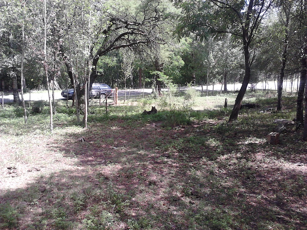 Venta Lote – Ruta 9 30500 – El Trapiche – San Luis - 10