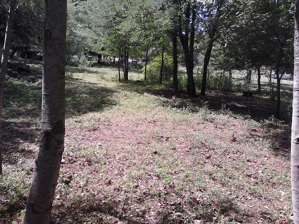 Venta Lote – Ruta 9 30500 – El Trapiche – San Luis - 12