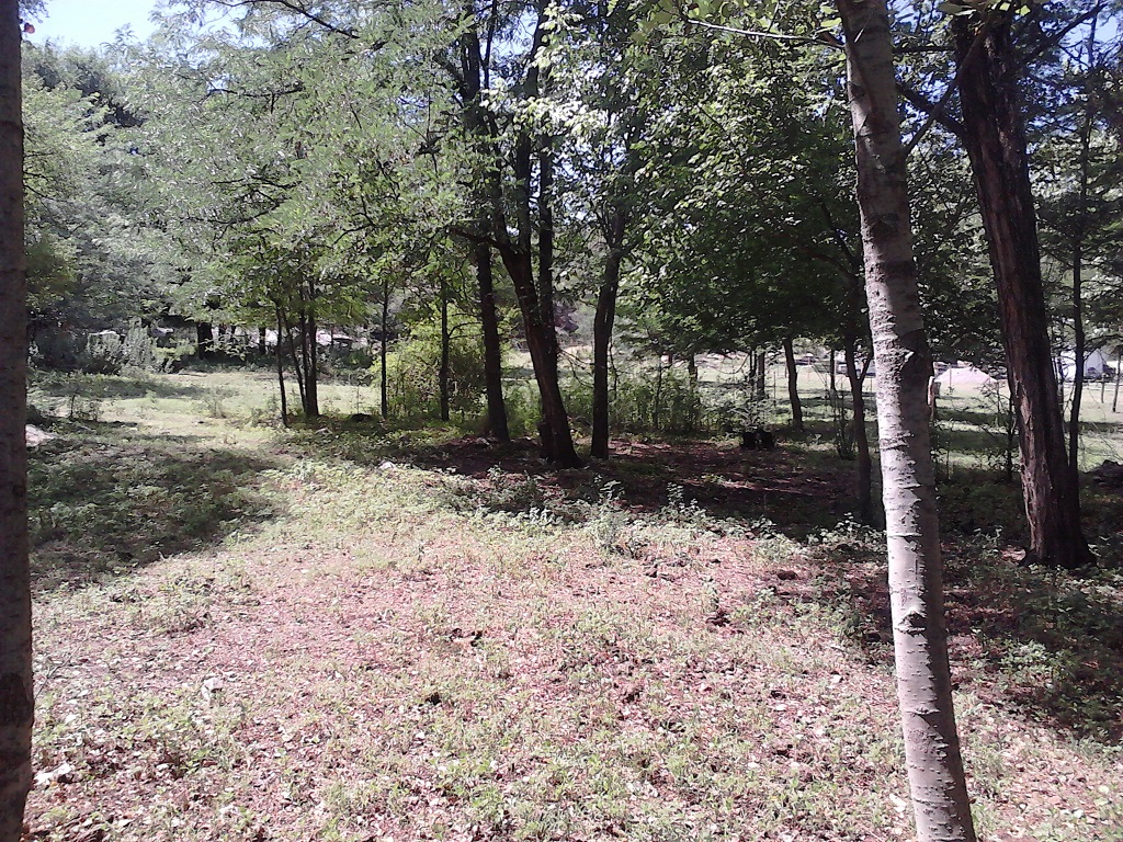 Venta Lote – Ruta 9 30500 – El Trapiche – San Luis - 13
