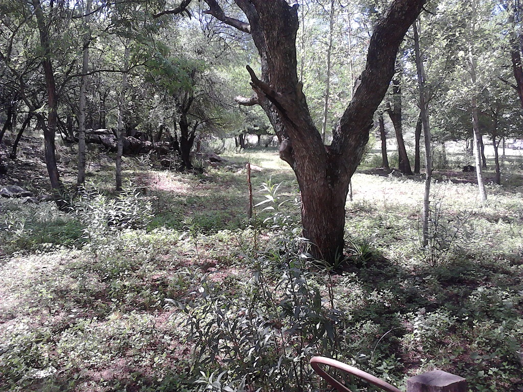 Venta Lote – Ruta 9 30500 – El Trapiche – San Luis - 14