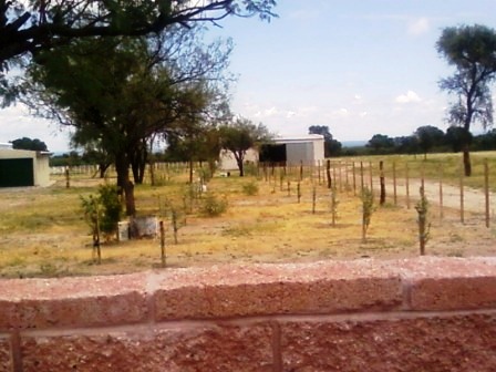 Venta Campo 891 hectáreas – Ruta 146 Km 5 – La Punta – San Luis - 3