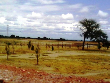 Venta Campo 891 hectáreas – Ruta 146 Km 5 – La Punta – San Luis - 6