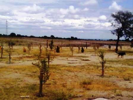 Venta Campo 891 hectáreas – Ruta 146 Km 5 – La Punta – San Luis - 7