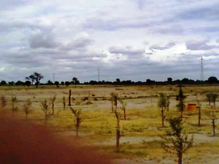 Venta Campo 891 hectáreas – Ruta 146 Km 5 – La Punta – San Luis - 8