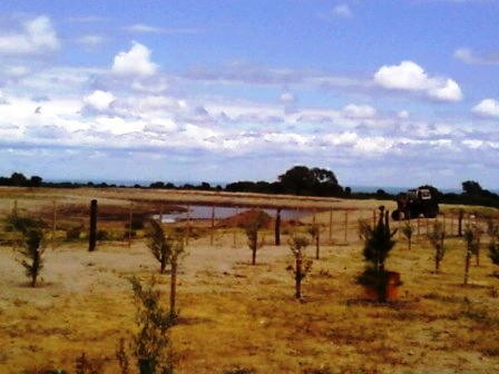 Venta Campo 891 hectáreas – Ruta 146 Km 5 – La Punta – San Luis - 9