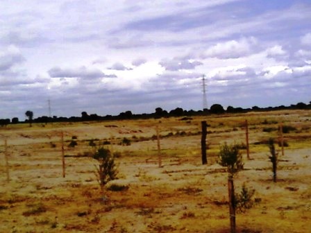 Venta Campo 891 hectáreas – Ruta 146 Km 5 – La Punta – San Luis - 10