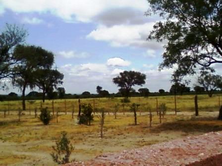 Venta Campo 891 hectáreas – Ruta 146 Km 5 – La Punta – San Luis - 11