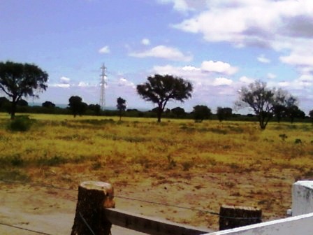 Venta Campo 891 hectáreas – Ruta 146 Km 5 – La Punta – San Luis - 13