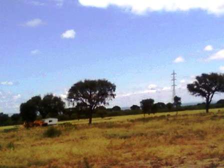 Venta Campo 891 hectáreas – Ruta 146 Km 5 – La Punta – San Luis - 14